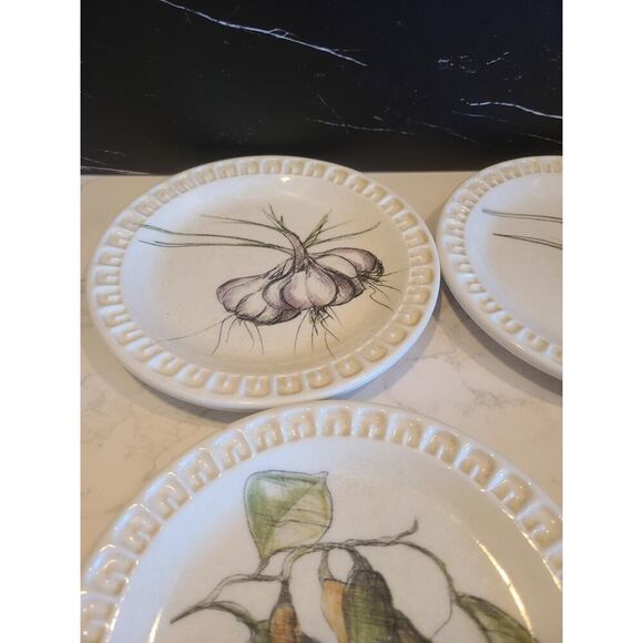 Williams-Sonoma GIARDINO 8" Salad Plates Made In Italy Set/4 EUC Dinner Party - Picture 5 of 16